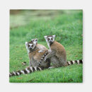 Suche nach pet magnete Grün