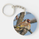 Suche nach finke schlüsselanhänger Goldfinch
