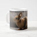 Recherche de pays bas tasses Lapin