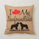 Recherche de terre neuve Silhouette