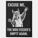 Suche nach eichhörnchen magnete Albern