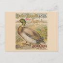 Suche nach vintage new orleans postkarten Reise