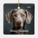 Suche nach weimaraner ornamente Aquarell