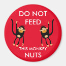 Recherche de à noix magnets Pour enfants