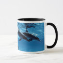 Recherche de amos tasses Animal