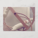 Recherche de souris blanche cartes postales Pour tous