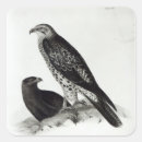 Recherche de galapagos autocollants Oiseau
