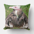 Recherche de oiseau de proie coussins Animaux