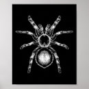 Suche nach spid poster Schläger