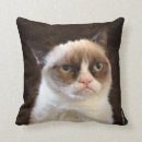 Suche nach grumpy cat kissen Meme