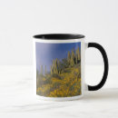 Suche nach pipe tassen Arizona