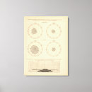 Suche nach diagramm kunst Statistisch