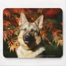 Recherche de deutscher tapis souris Headshot