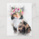 Recherche de mainecoon Chat