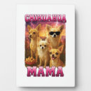 Suche nach chihuahua fotoplatten Welpe
