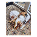 Suche nach unter boden poster Etage