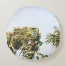 Recherche de cocotiers coussins Noix de coco