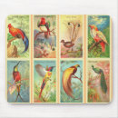 Suche nach vintage vögel mousepads Alt