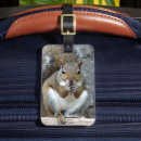 Recherche de écureuil bagages étiquettes Animal sauvage