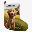 Recherche de caniche chaussette de noël Animaux domestiques