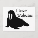 Suche nach walrus poster Walrat