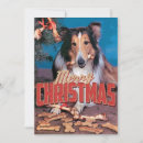 Suche nach collie einladungen Herden