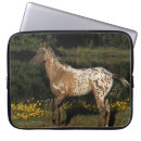 Suche nach foto laptop schutzhüllen See