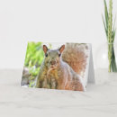 Suche nach oops karten Lustige