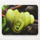 Recherche de serpent vert tapis souris Animal