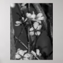 Recherche de copie unique posters Fleurs