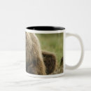 Suche nach braunbär tassen Grizzlybär