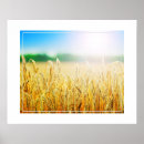 Recherche de blé posters Nature