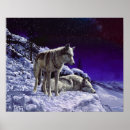 Recherche de loups sauvages posters Paysage