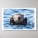 Suche nach seeotter poster Alaska