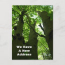 Recherche de hêtre Nature