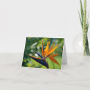 Suche nach paradiesvogel karten Tropische blumen