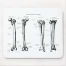 Suche nach menschliche anatomie mousepads Knochen