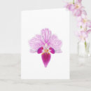 Suche nach rosa orchidee karten Flora