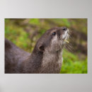 Suche nach otter kunst Niedlich