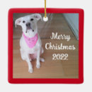 Suche nach glücklicher hund ornamente Weiß