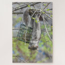 Recherche de écureuil drôle puzzles Faune