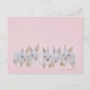 Recherche de compositeur cartes postales Animal