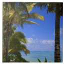 Recherche de palmier carreaux Pittoresque