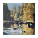 Suche nach yosemite fliesen Wald