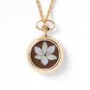 Recherche de de fleur blanche montres Botanique