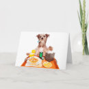 Suche nach auswählen karten Hund