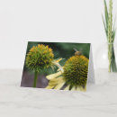 Suche nach photograph postkarten Floral