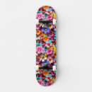 Recherche de couchers du soleil skateboards Paysage