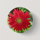 Suche nach gerbera buttons Rot