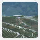 Recherche de terrassement autocollants Agricole